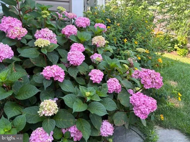 $759,900 | 22010 Boneset Way, Germantown, MD 20876