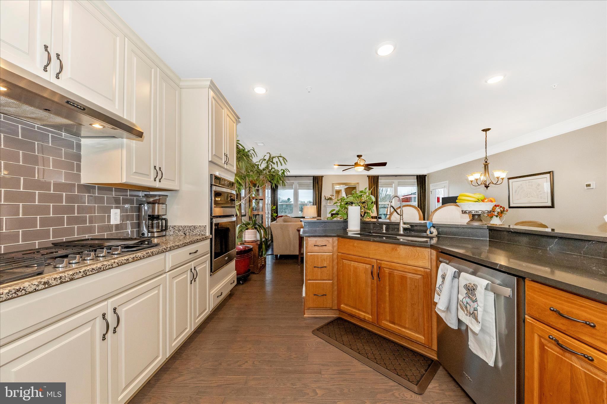 22010 Boneset Way Germantown, MD 20876 - Photo 10 of 75 Kitchen