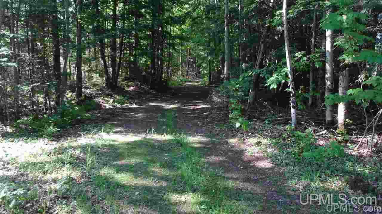 1214 Burning Road Deerton, MI 49822 - Photo 22 of 27