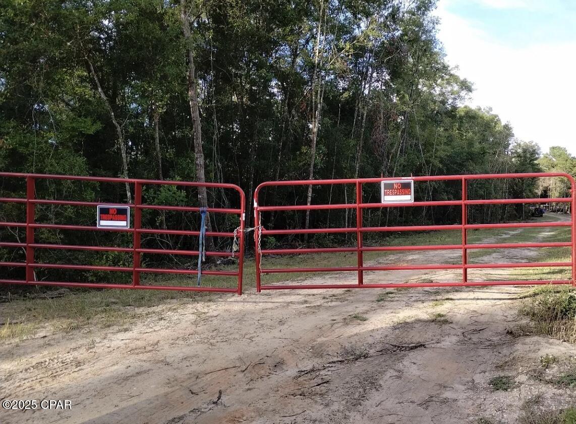 3773 Pine Log Road Chipley, FL 32428 - Photo 3 of 9