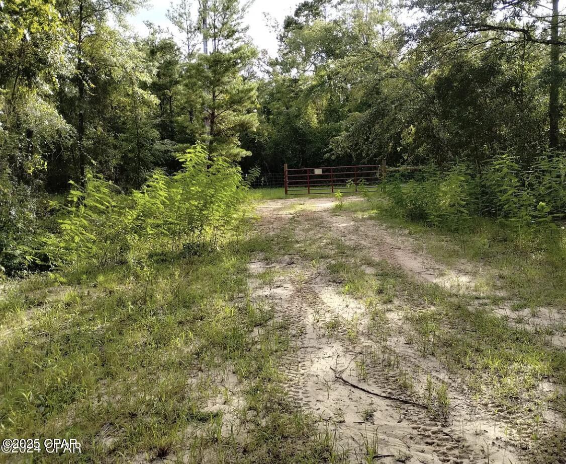 3773 Pine Log Road Chipley, FL 32428 - Photo 8 of 9
