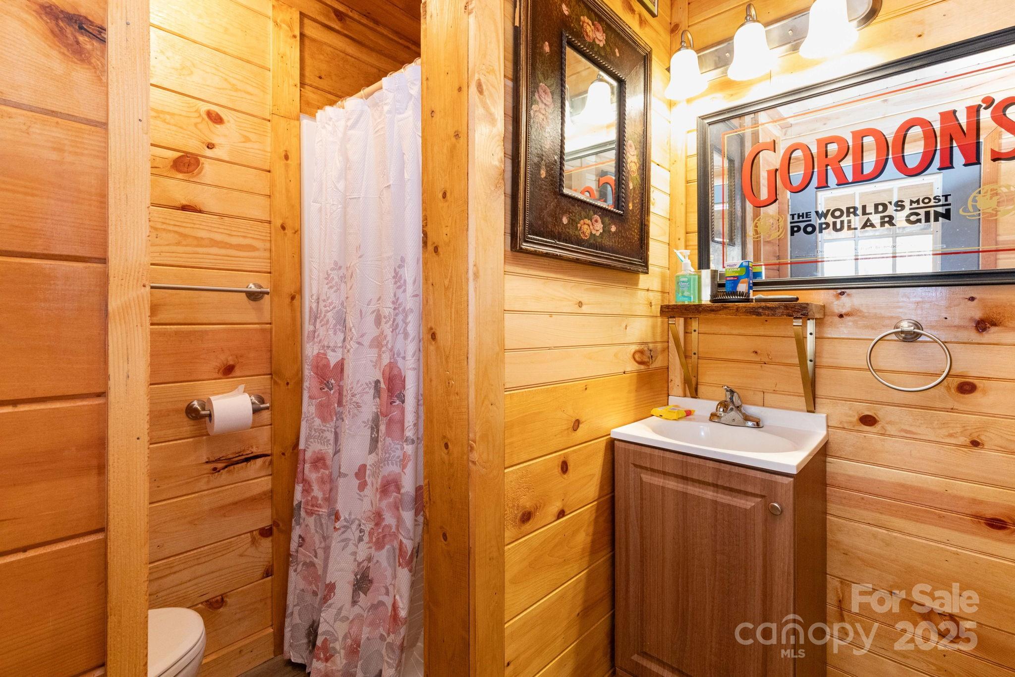 1010 Melton Branch Road Bakersville, NC 28705 - Photo 11 of 43 a bathroom with a sink mirror and toilet