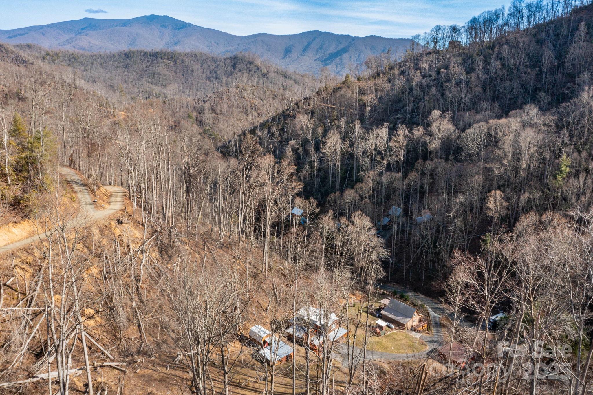 1010 Melton Branch Road Bakersville, NC 28705 - Photo 43 of 43 a view of a forest with mountains in the background