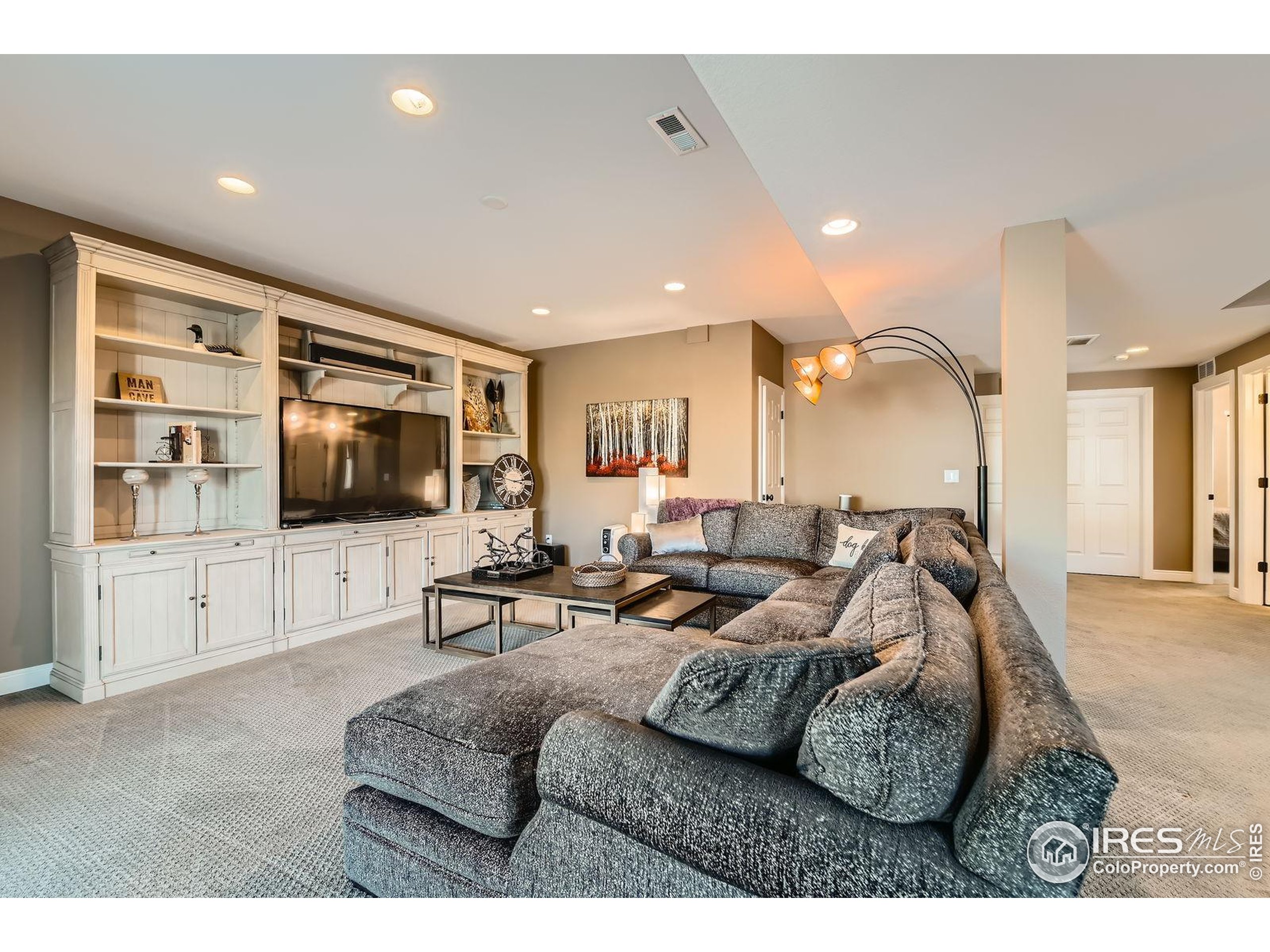 10834 Graphite Street Broomfield, CO 80021 - Photo 19 of 34 a living room with furniture and a flat screen tv