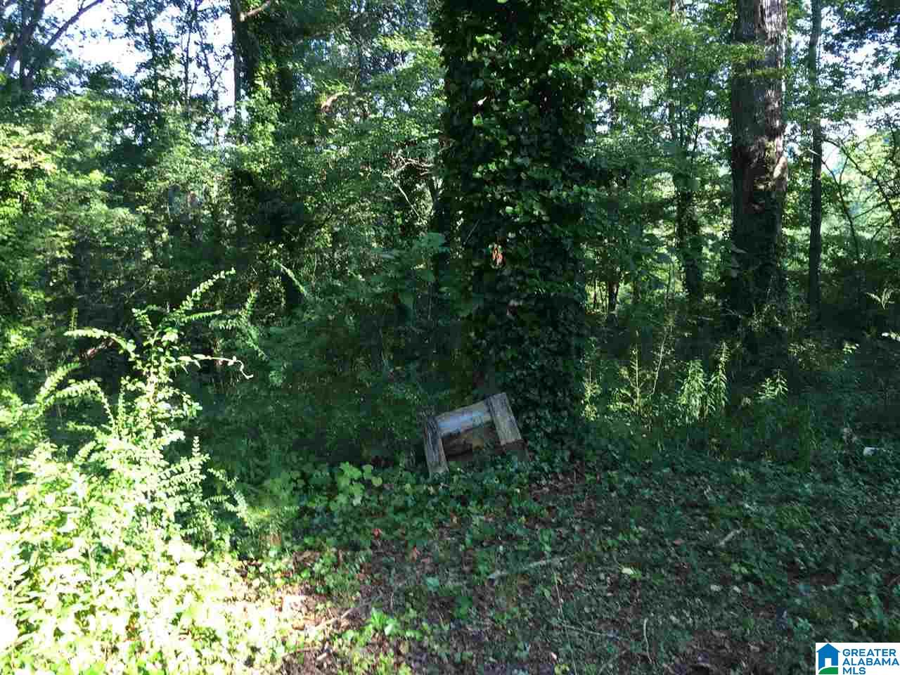 2089 Gate 8 Road Anniston, AL 36201 - Photo 11 of 16