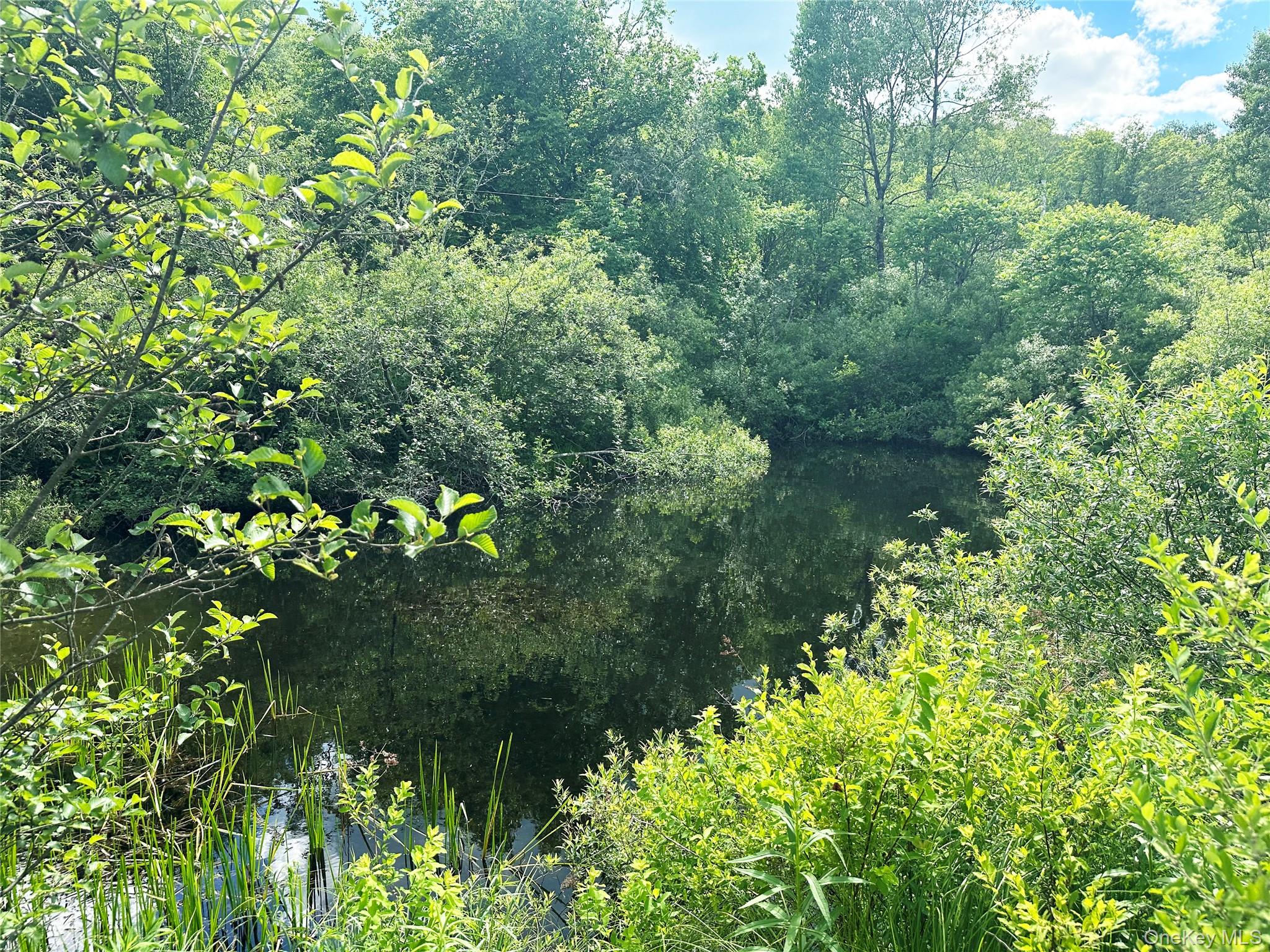 818 Methol Road Roscoe, NY 12776 - Photo 19 of 39 Private pond surrounded by natural woodland, creating a tranquil outdoor retreat and scenic focal point for the property.