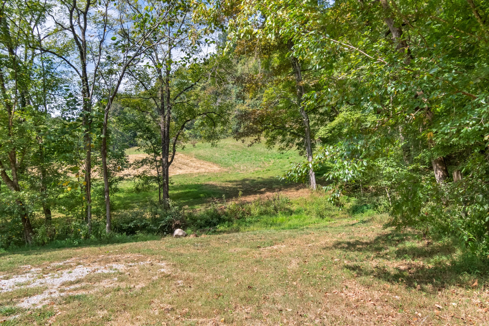 384 Big Spring Hollow Road Pulaski, TN 38478 - Photo 44 of 54 Gallery Image 44