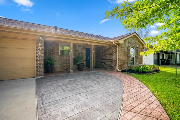 a view of backyard with a garden and plants