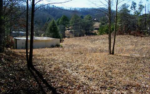 Bell Hill Road Murphy, NC 28906 - Photo 1 of 1 a view of a yard with a tree