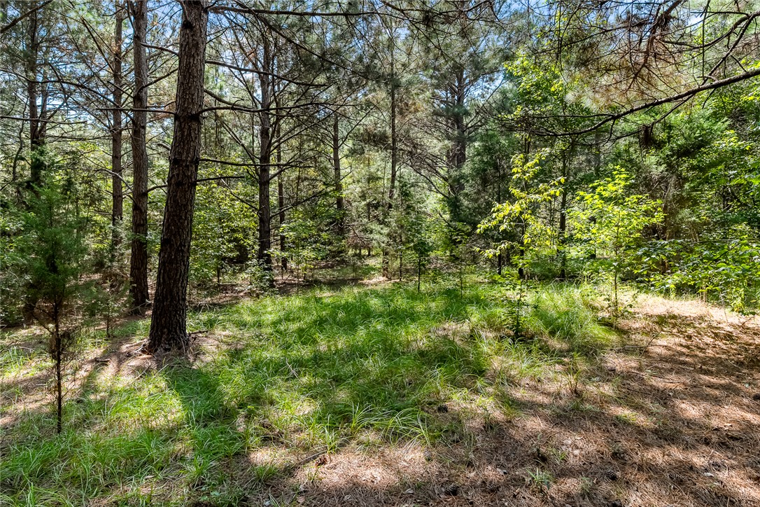 133 Asa Hall Road Iva, SC 29655 - Photo 11 of 33