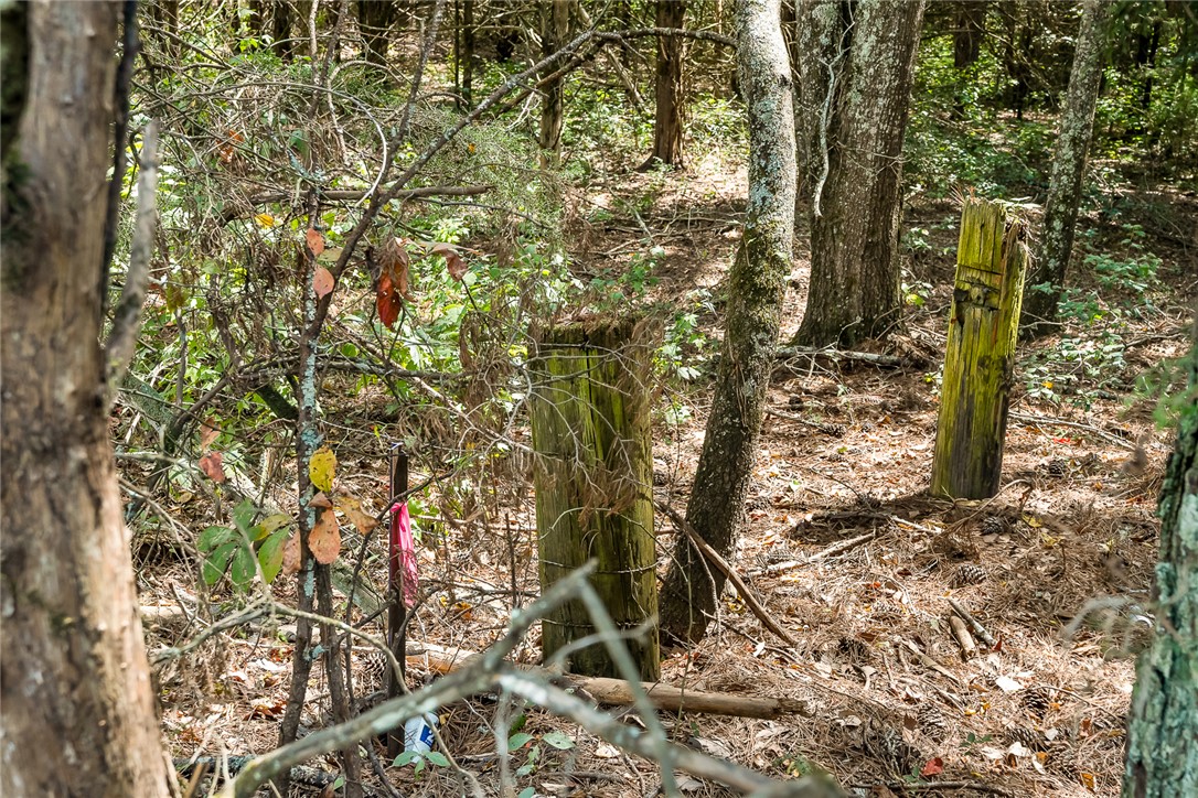 133 Asa Hall Road Iva, SC 29655 - Photo 13 of 33