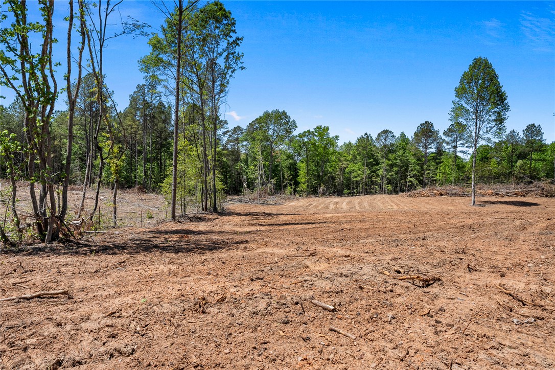 133 Asa Hall Road Iva, SC 29655 - Photo 21 of 33
