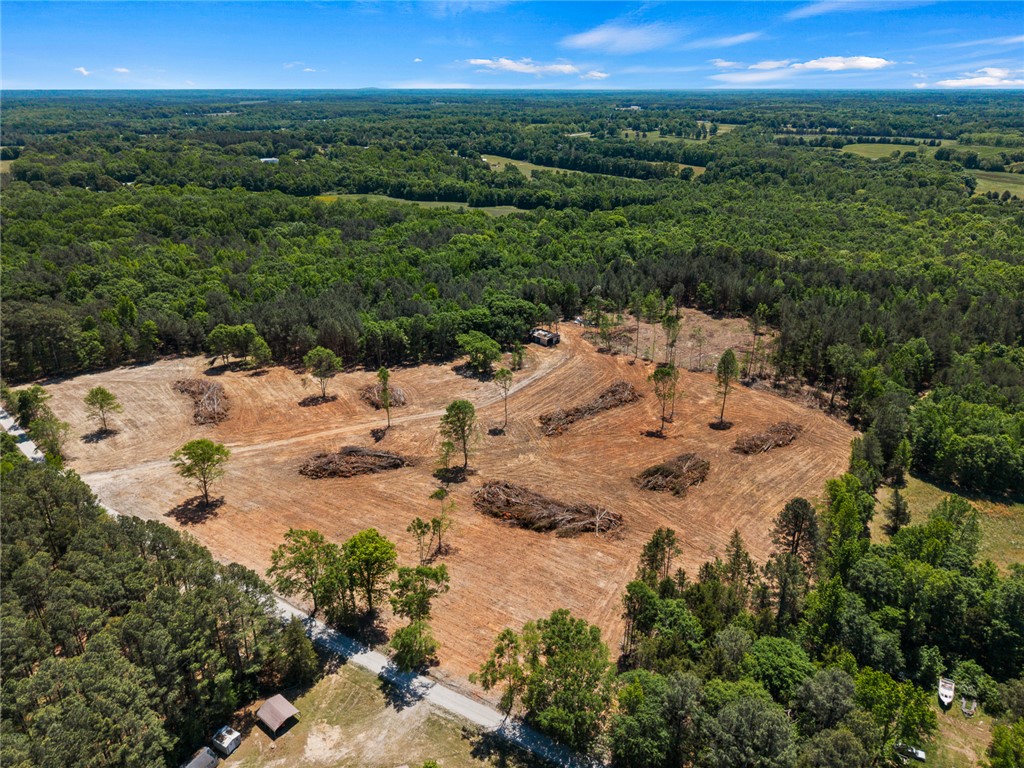 133 Asa Hall Road Iva, SC 29655 - Photo 24 of 33