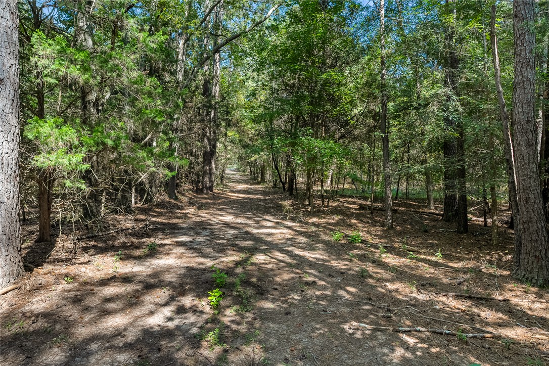 133 Asa Hall Road Iva, SC 29655 - Photo 5 of 33 Old Driveway