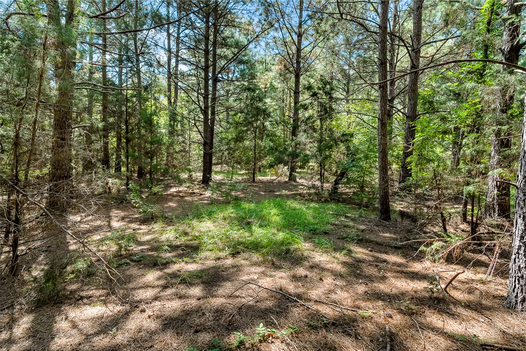 133 Asa Hall Road Iva, SC 29655 - Photo 10 of 33