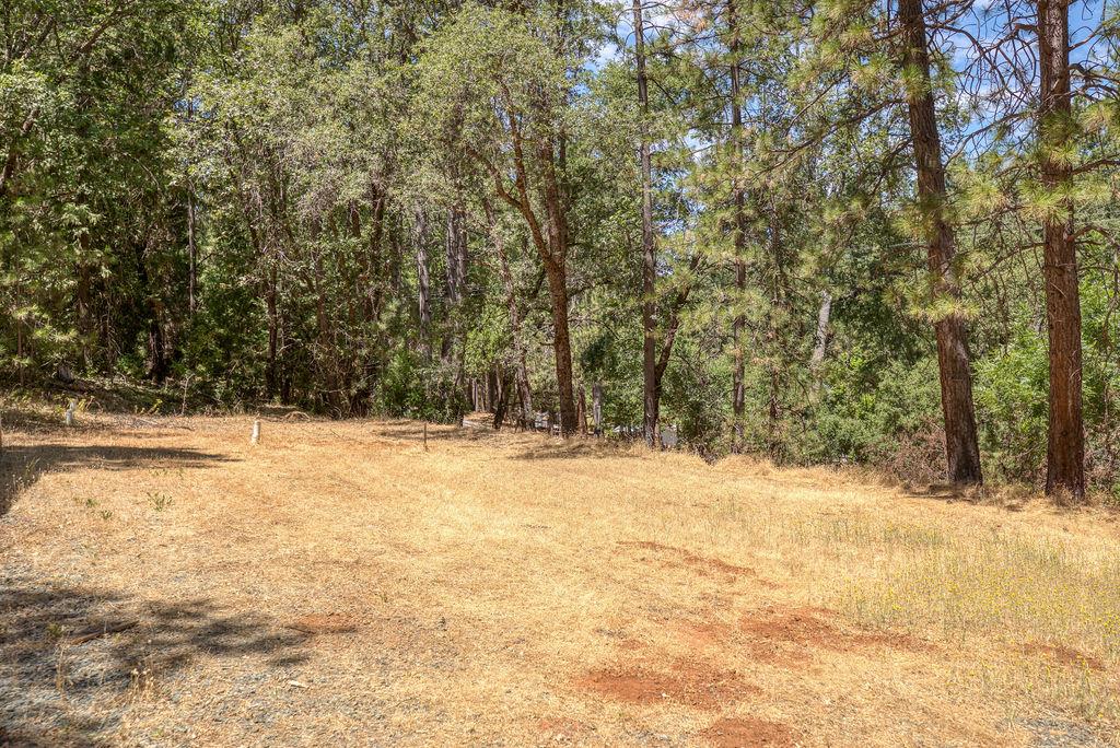 20310 State Rte 26 West Point, CA 95255 - Photo 43 of 61