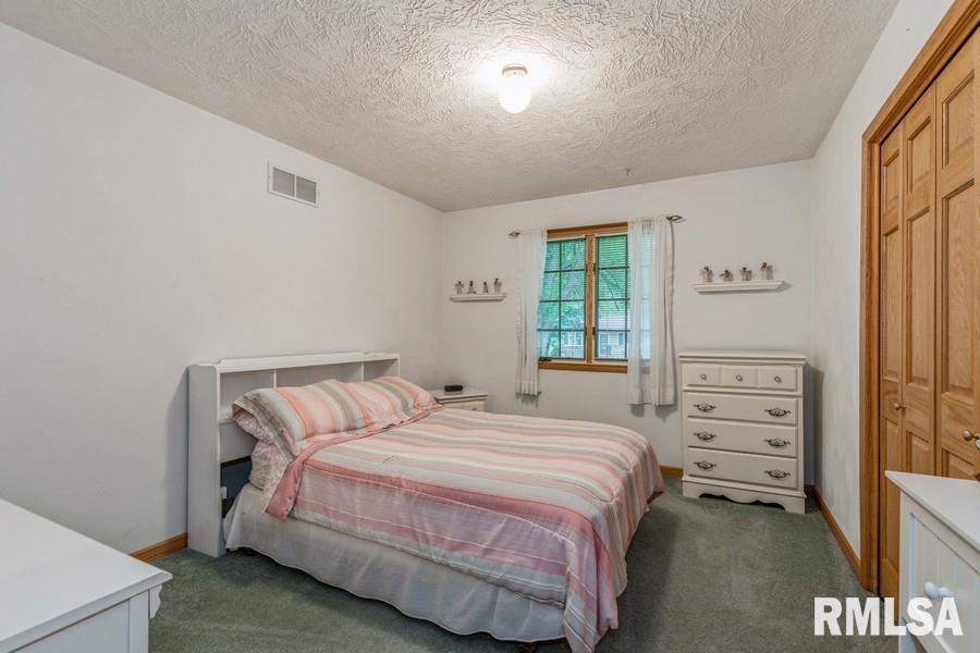 1145 Mark Street Colona, IL 61241 - Photo 9 of 15 Gallery Image 9