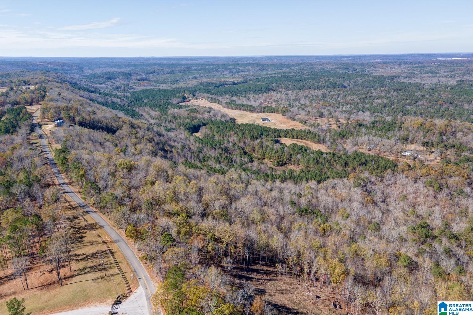 5830-2 South Shades Crest Road, Unit 2 Helena, AL 35022 - Photo 9 of 16