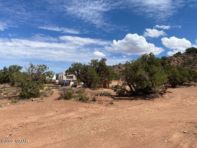 3854 El Dorado Road Snowflake, AZ 85937 - Photo 14 of 33 a view of a backyard of a house with a yard