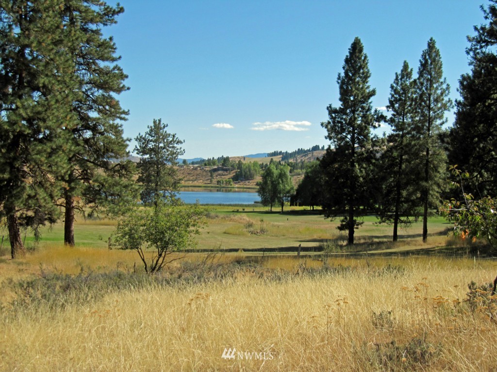 6 Butterweed Road Winthrop, WA 98862 - Photo 1 of 1 Gallery Image 1