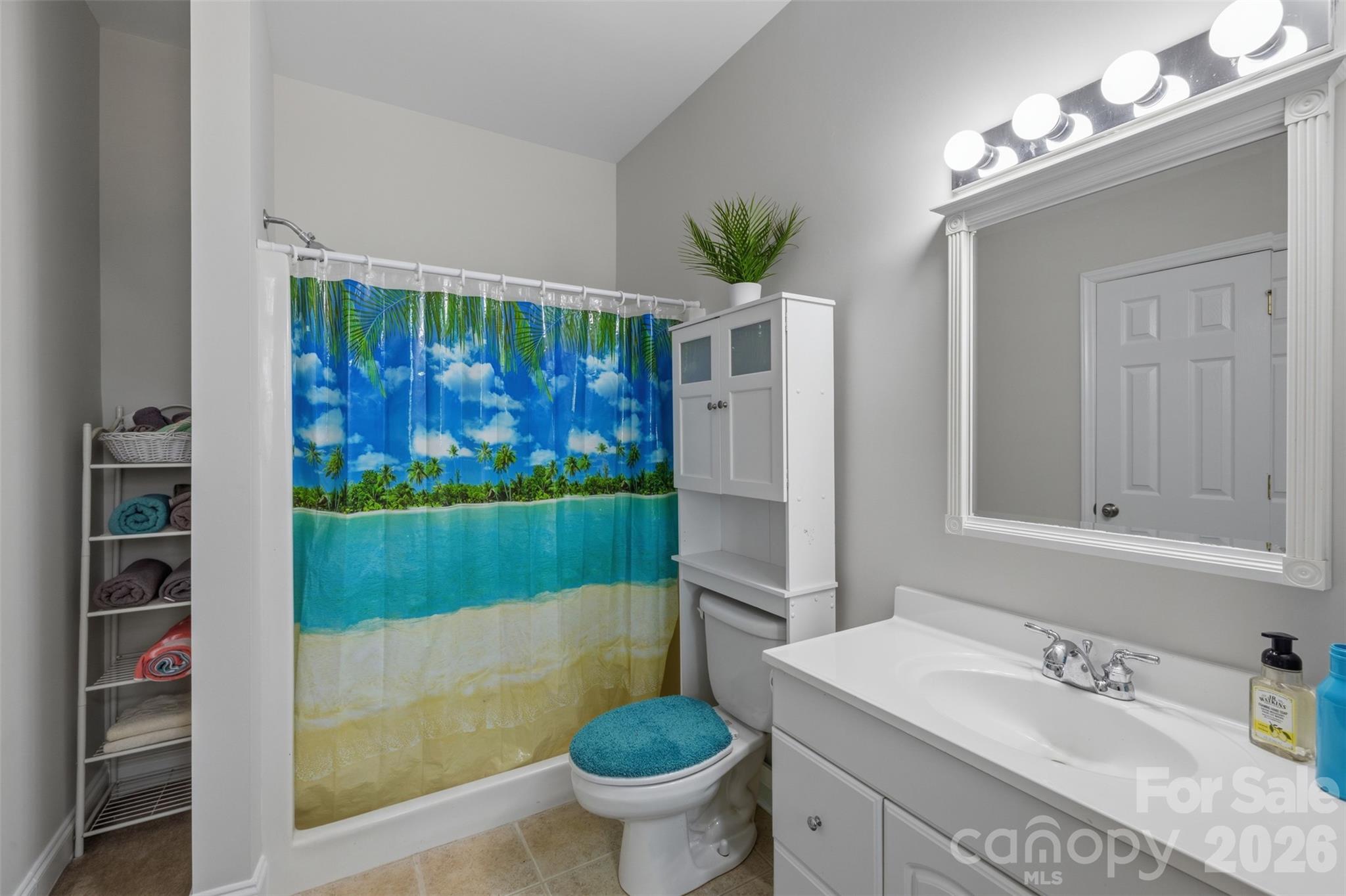 710 Sleepy Hollow Road Midland, NC 28107 - Photo 19 of 29 a bathroom with a sink a toilet and shower