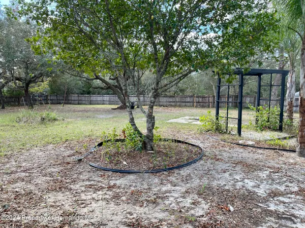a view of a yard with a tree
