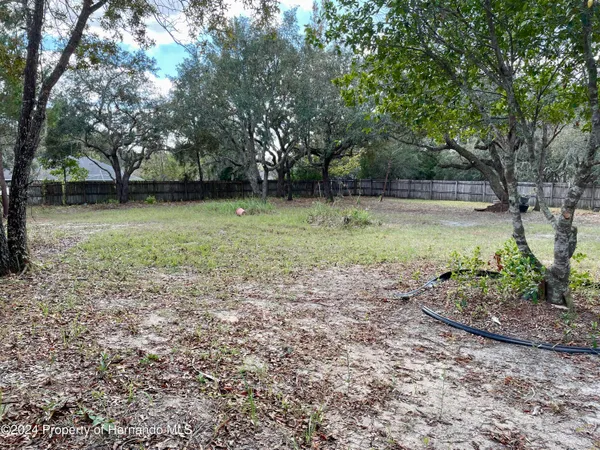 a view of backyard with green space