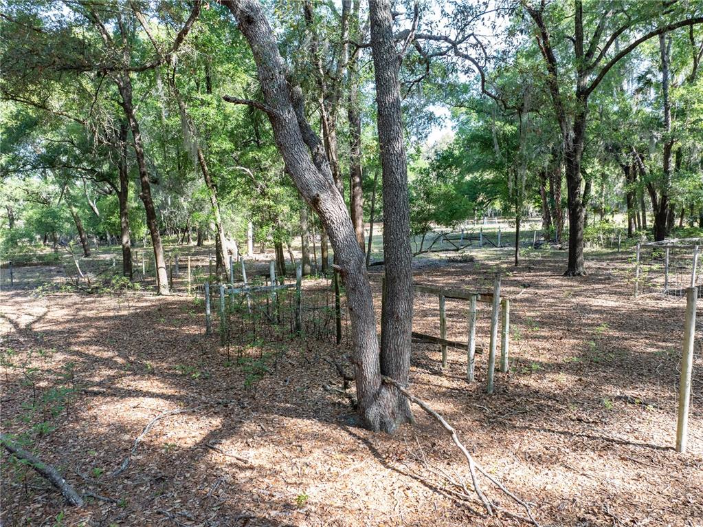 249 Keuka Road Interlachen, FL 32148 - Photo 39 of 49 Gallery Image 39
