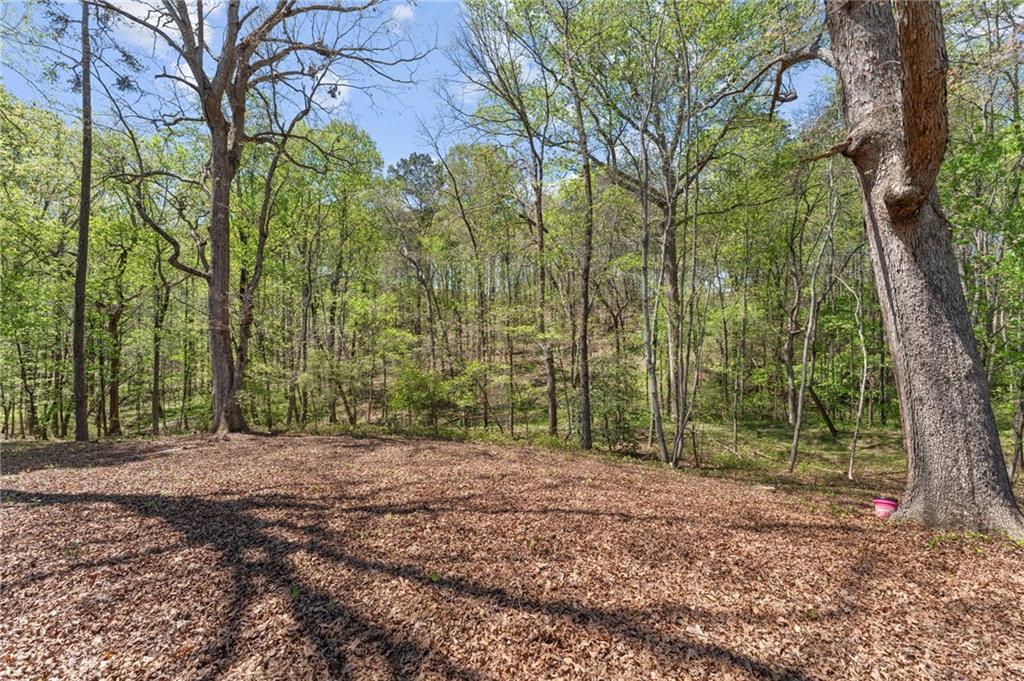 200 RIVER Trail Ball Ground, GA 30107 - Photo 50 of 62
