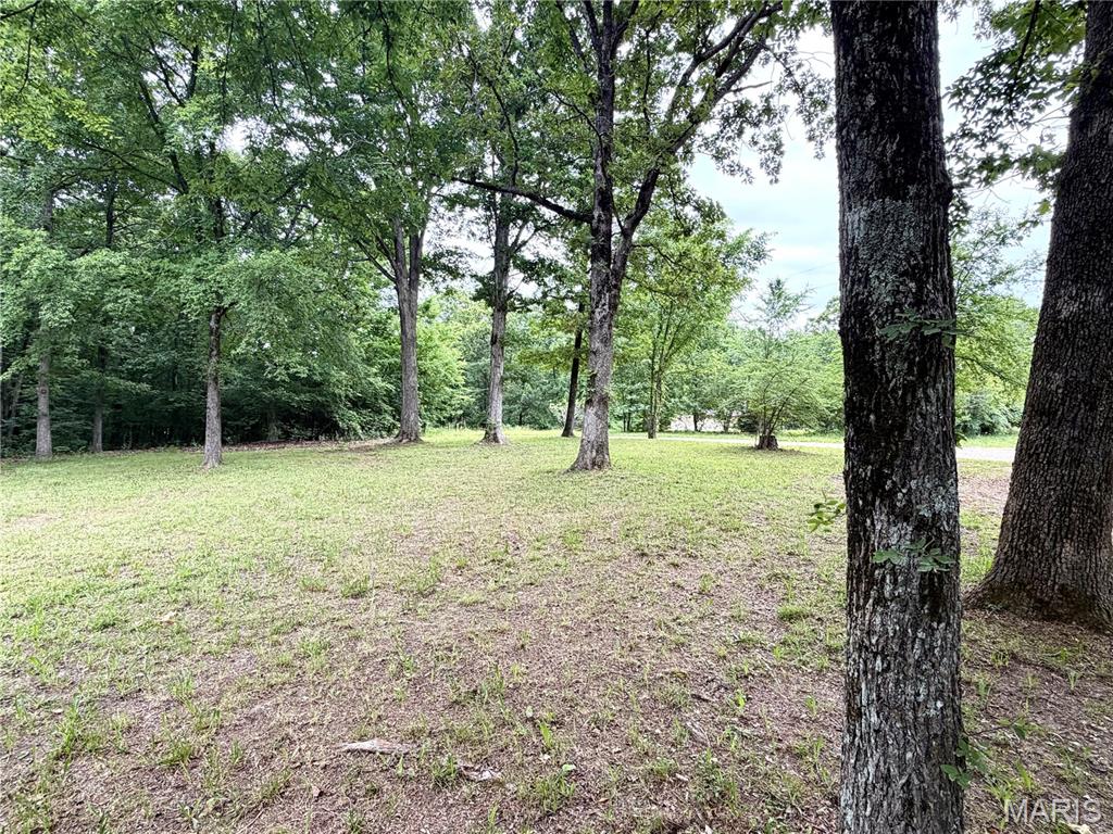 211 Post Oak Road Wappapello, MO 63966 - Photo 6 of 9
