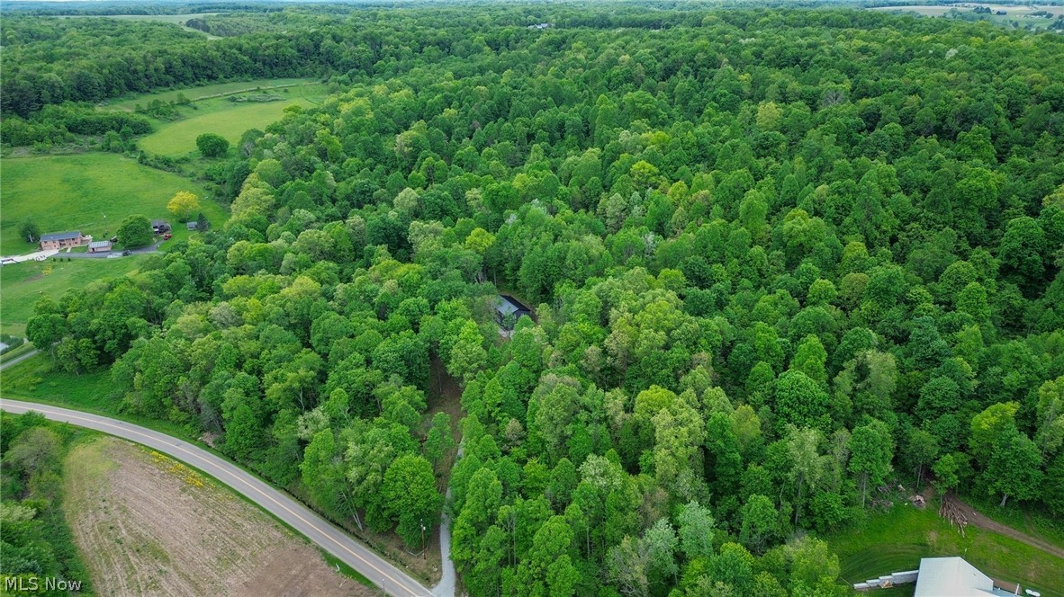 5309 Cherry Run Road Northwest Strasburg, OH 44680 - Photo 41 of 49