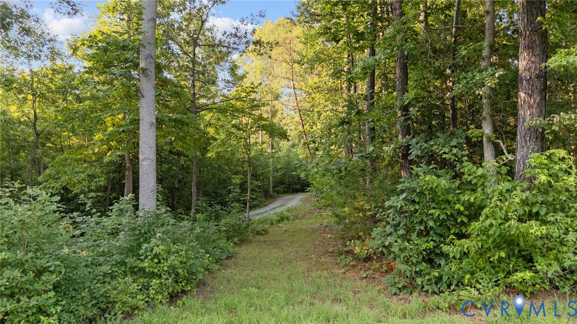 1 Va-54 Montpelier, VA 23192 - Photo 14 of 15 a view of a forest with trees