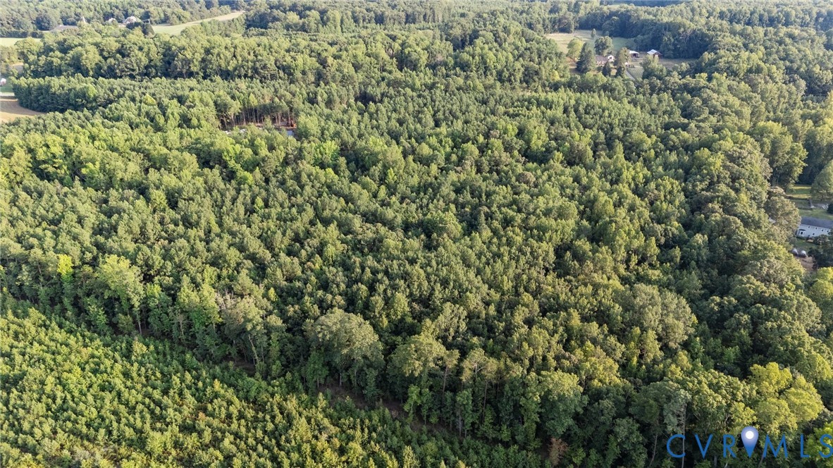 1 Va-54 Montpelier, VA 23192 - Photo 4 of 15