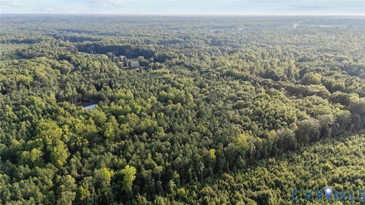 1 Va-54 Montpelier, VA 23192 - Photo 5 of 15 an aerial view of forest