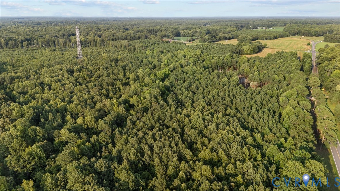 1 Va-54 Montpelier, VA 23192 - Photo 10 of 15 a view of a city with lush green forest