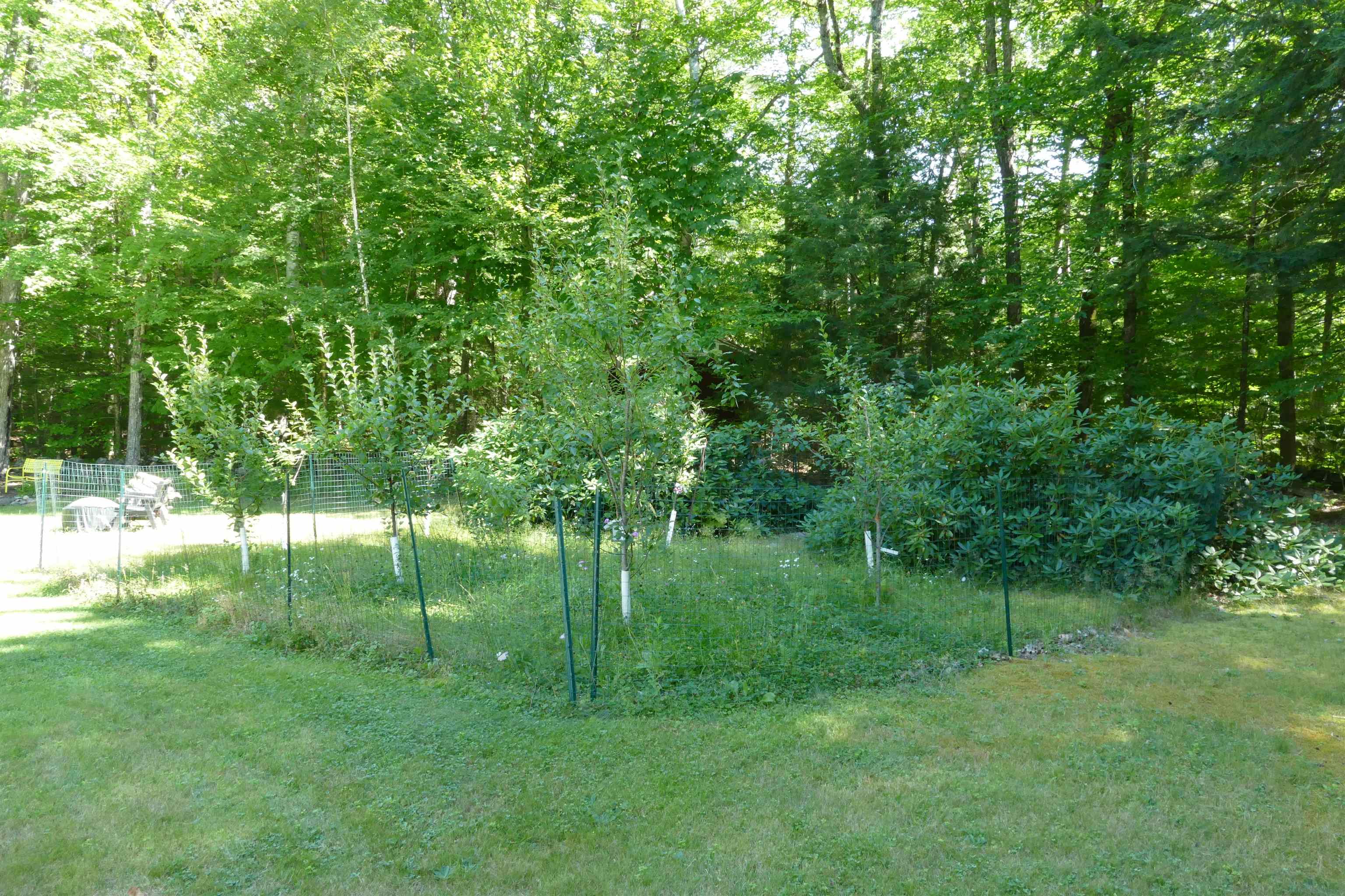 292 High Haith Road Center Harbor, NH 03226 - Photo 7 of 15 Gallery Image 7