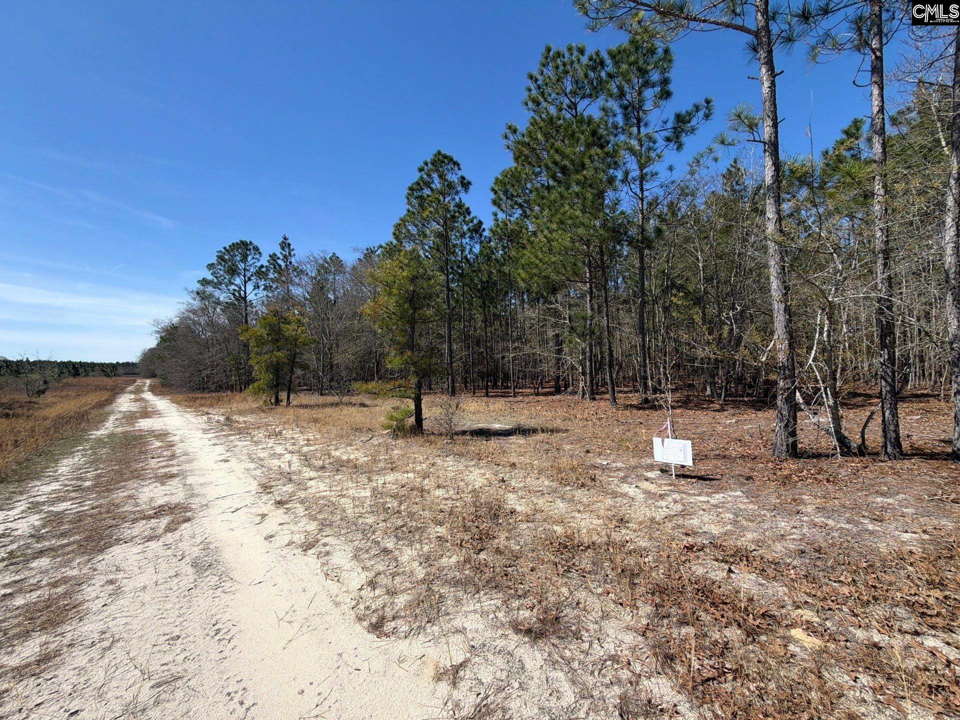 10 Boise Cascade Road, Unit BHL 10 Bethune, SC 29009 - Photo 24 of 24