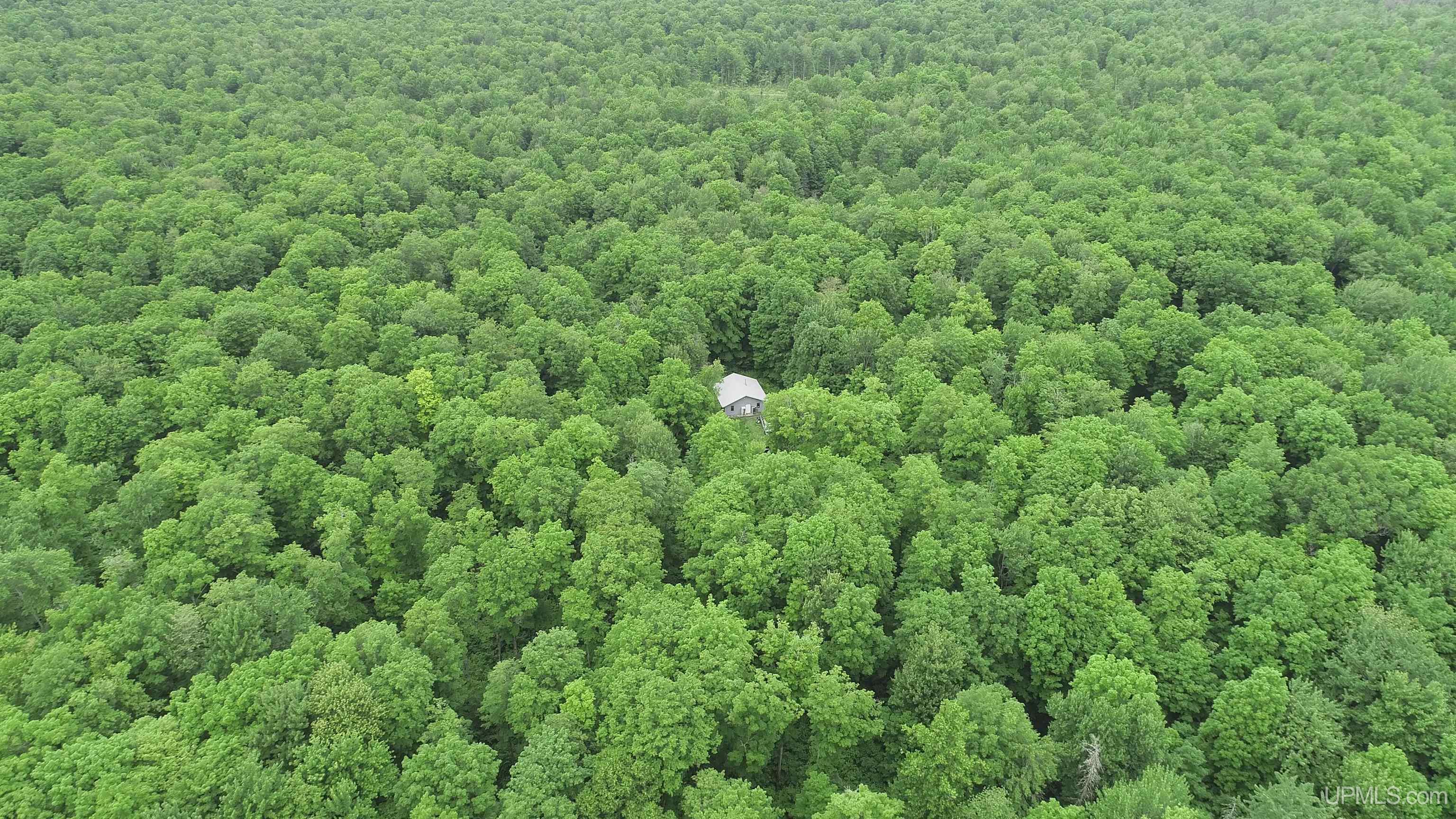 40-acres The Grade Road Crystal Falls, MI 49920 - Photo 3 of 39