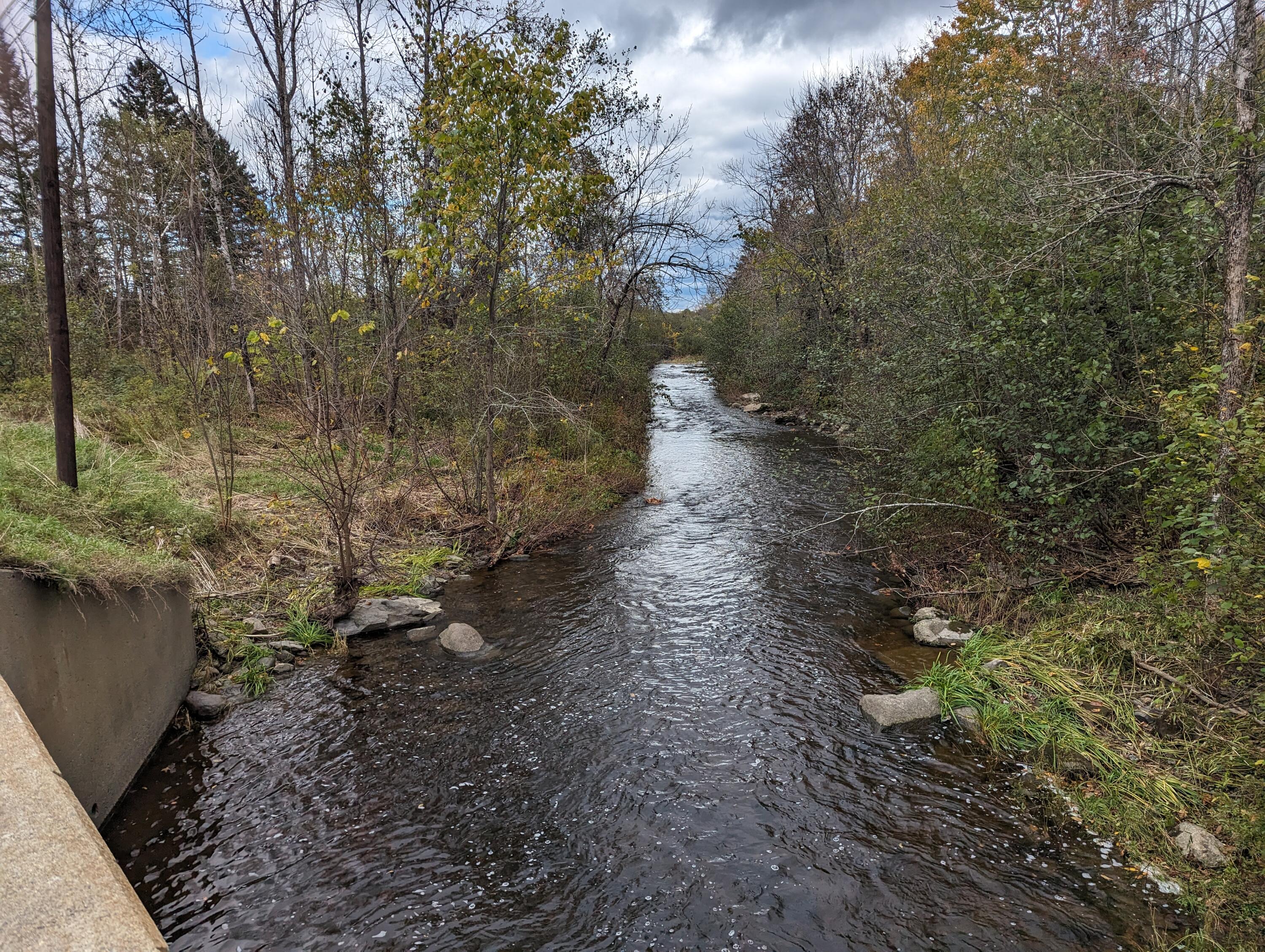 PXL_20231013_173048200