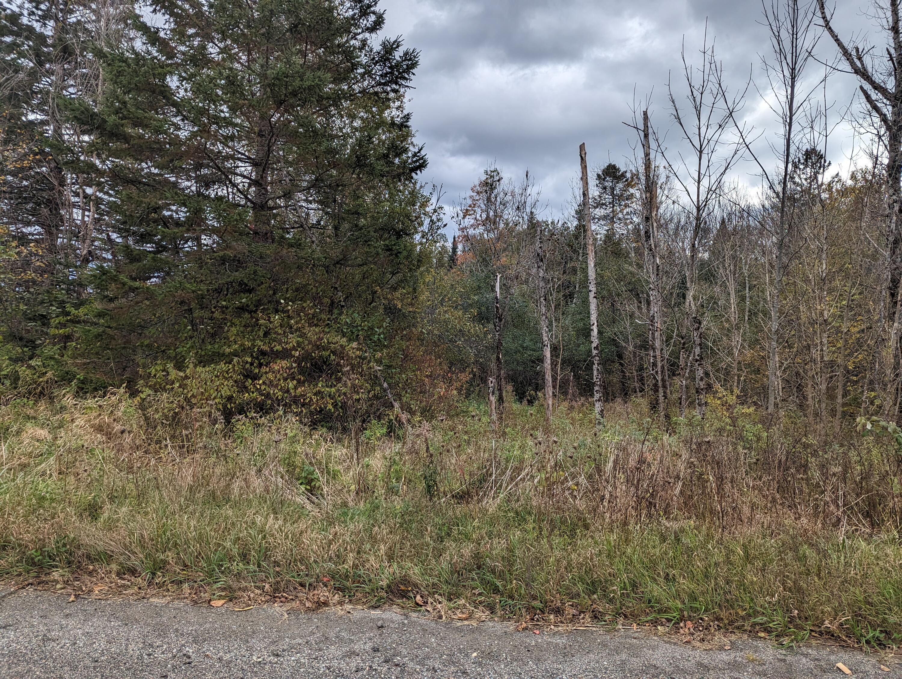 557 Hudson Road Corinth, ME 04427 - Photo 3 of 6 PXL_20231013_173137250