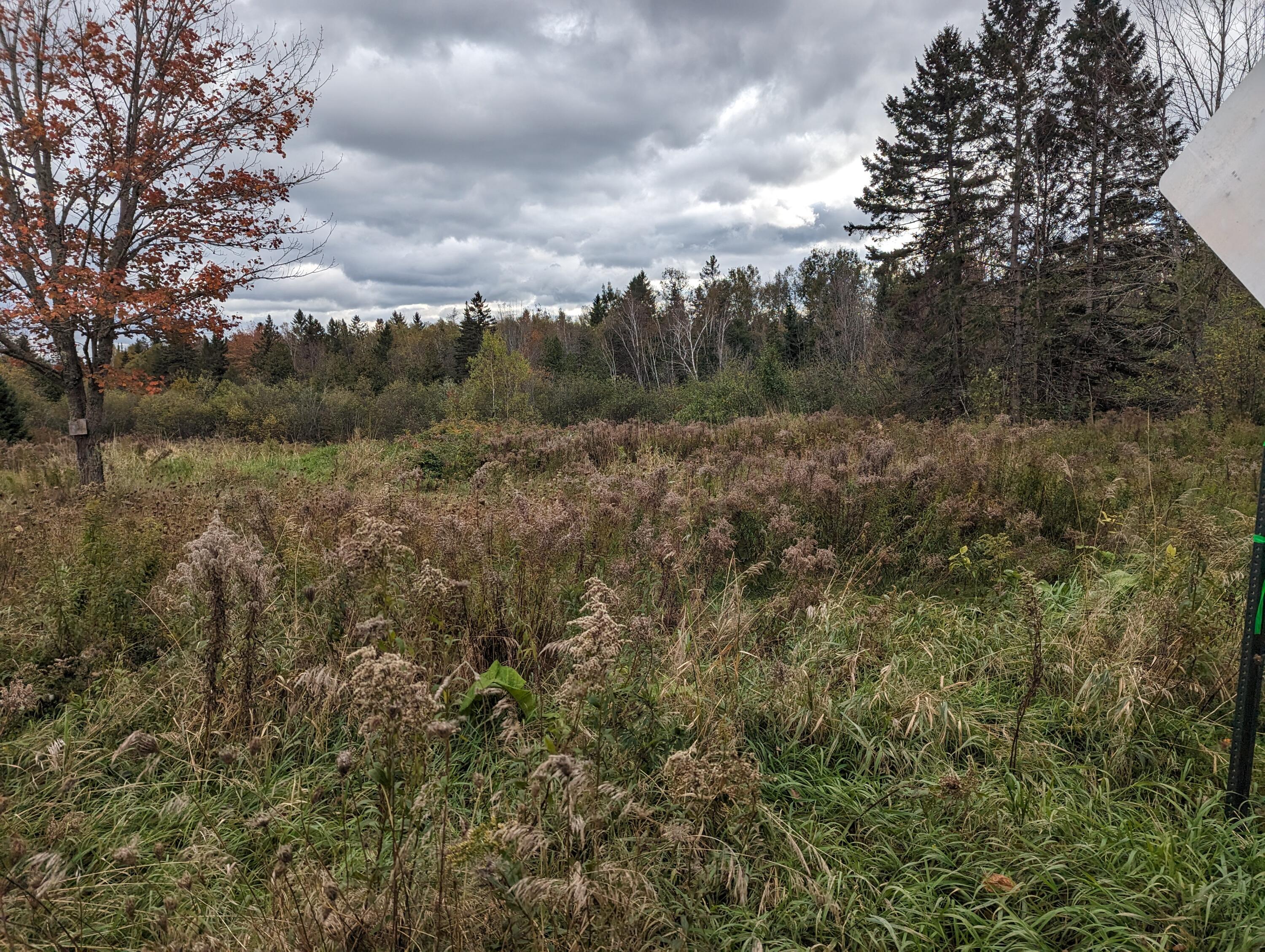 557 Hudson Road Corinth, ME 04427 - Photo 5 of 6 PXL_20231013_173220441