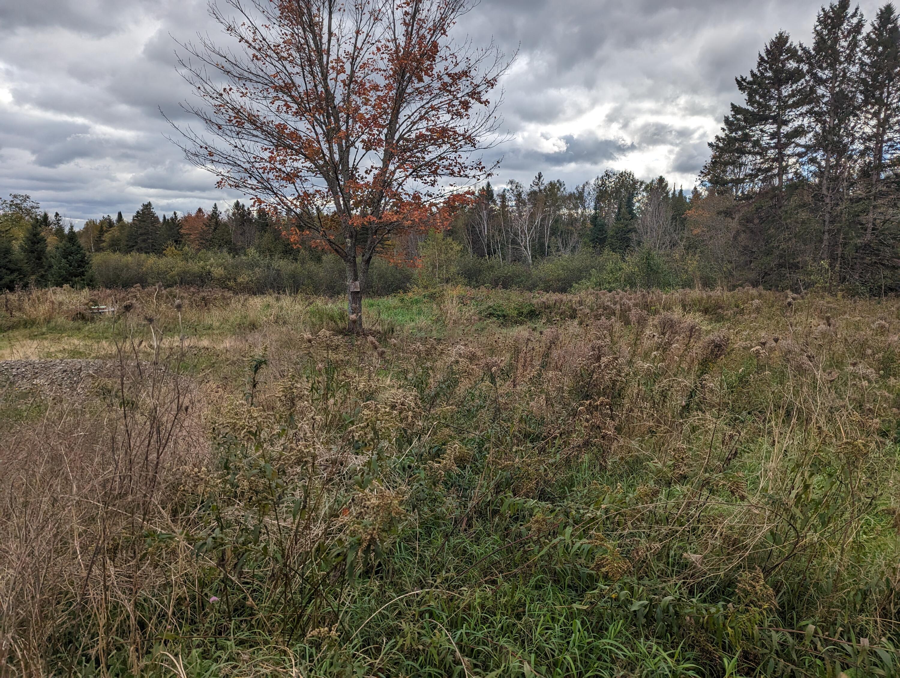 557 Hudson Road Corinth, ME 04427 - Photo 6 of 6 PXL_20231013_173228643
