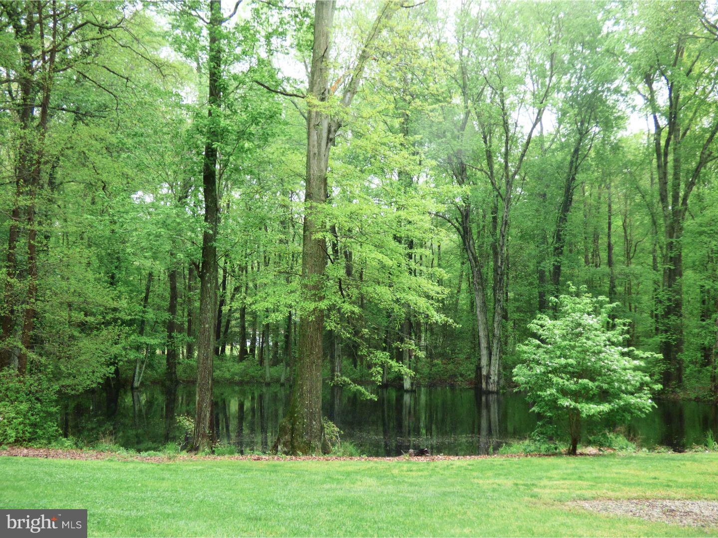 124 Alloway-Woodstown Road Alloway, NJ 08098 - Photo 9 of 25 a view of a lush green forest