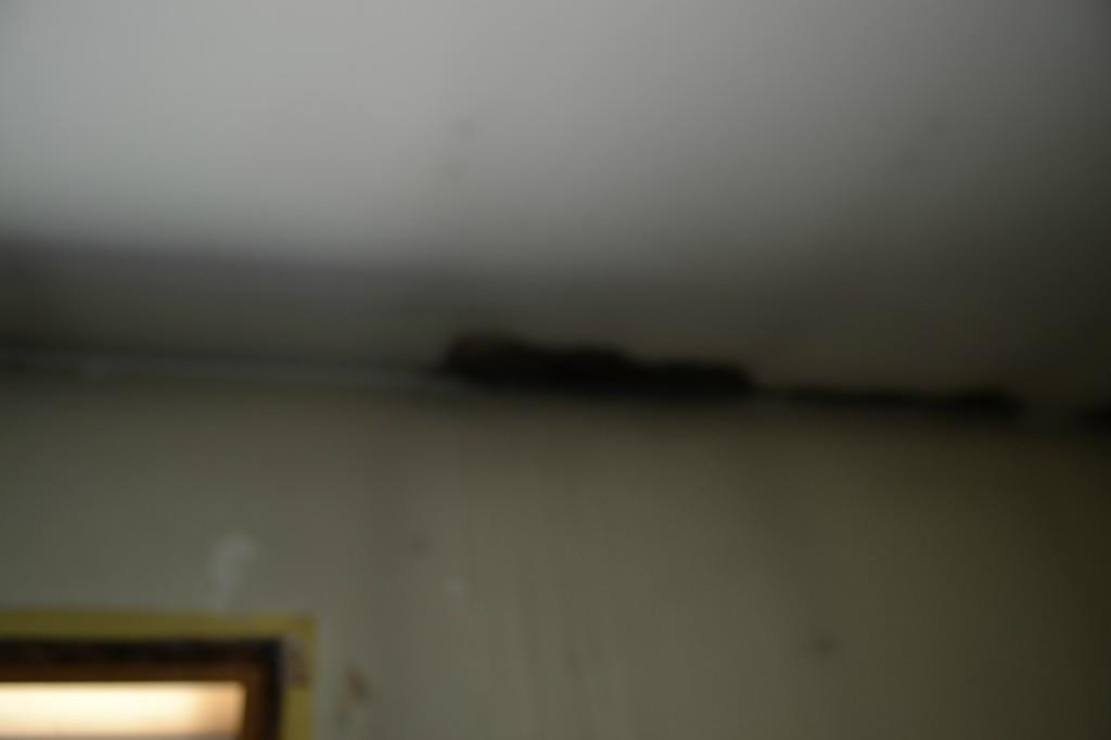 13 Warner Road Arrowsic, ME 04530 - Photo 16 of 31 Photo