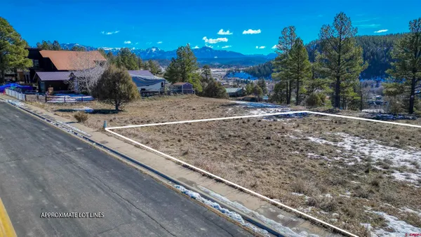 a bird view of a house