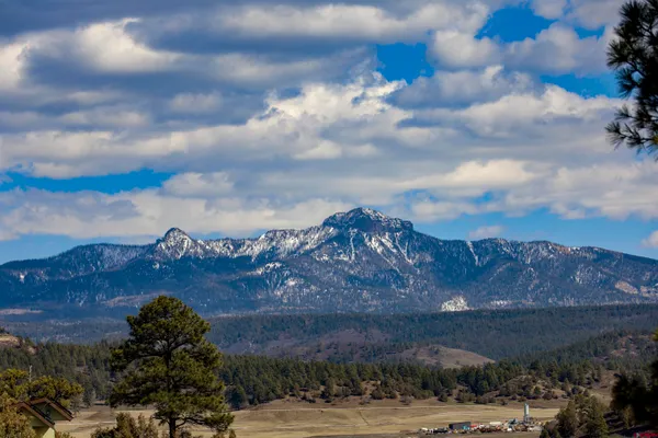 $265,000 | Lot 7 Apple Street, Pagosa Springs, CO 81147