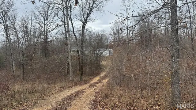 $139,500 | 175 Hodge Drive, Doniphan, MO 63935