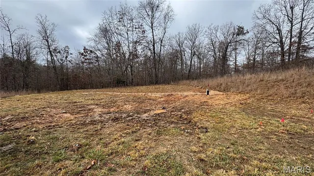 $139,500 | 175 Hodge Drive, Doniphan, MO 63935