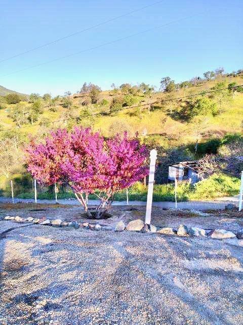 747 Winter Road Squaw Valley, CA 93675 - Photo 52 of 76 Gallery Image 52