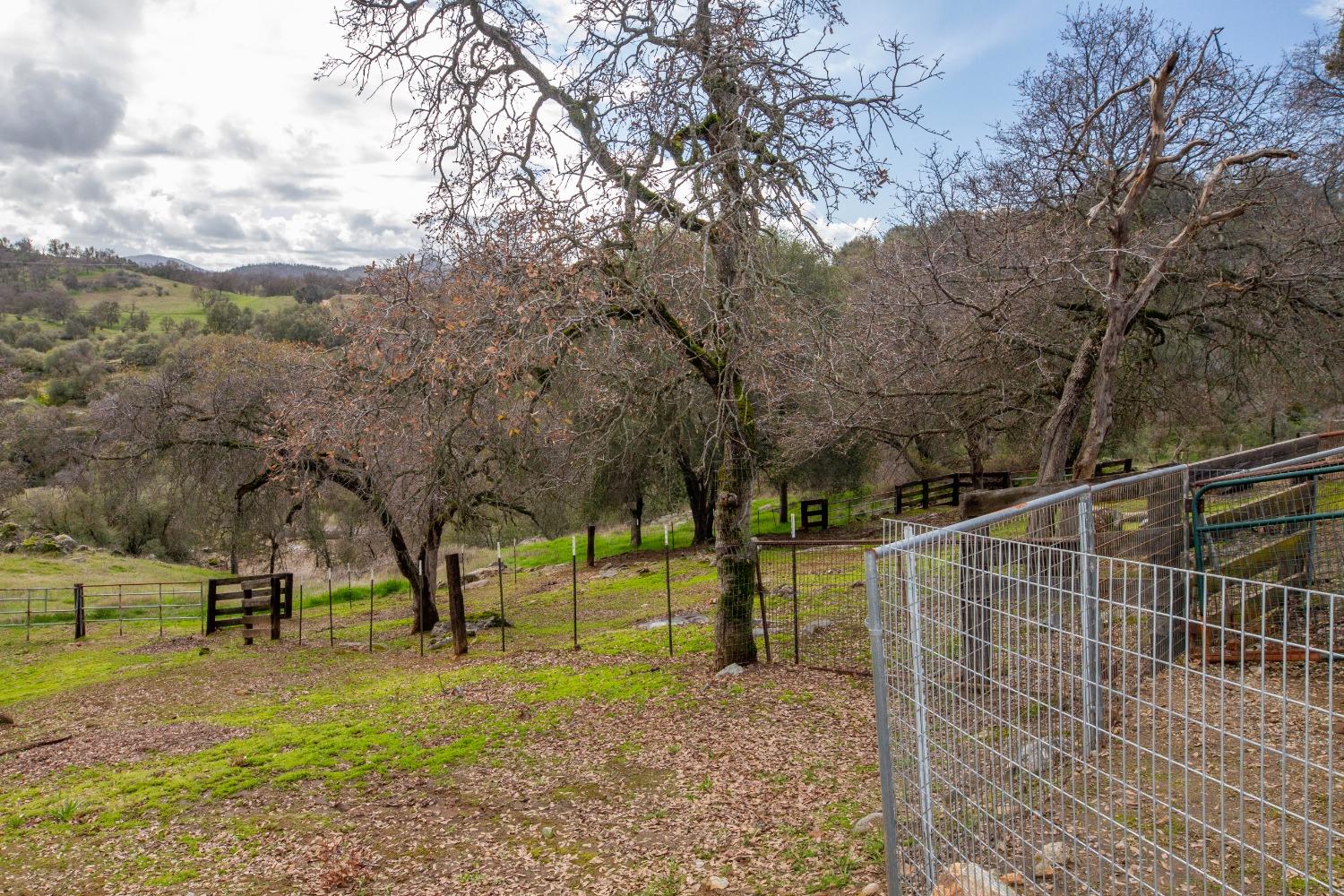 747 Winter Road Squaw Valley, CA 93675 - Photo 55 of 76 Gallery Image 55